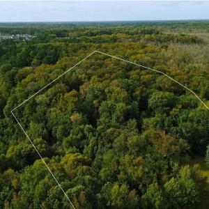 Photo #2 of 2317 Princess Anne Road, Virginia Beach, Virginia 9.7 acres