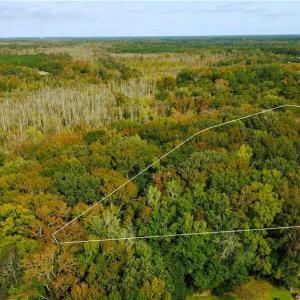 Photo #4 of 2317 Princess Anne Road, Virginia Beach, Virginia 9.7 acres