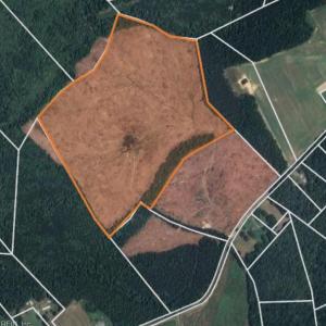 Back 45 acres with road right of way access