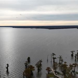 Photo #11 of 419 BATCHELOR BAY Drive, Merry Hill, North Carolina 0.7 acres