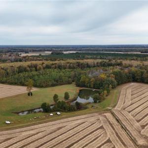 Photo #12 of 419 BATCHELOR BAY Drive, Merry Hill, North Carolina 0.7 acres