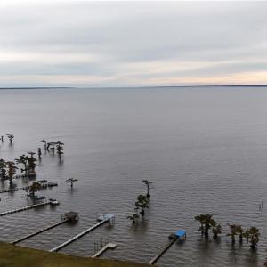 Photo #10 of 419 BATCHELOR BAY Drive, Merry Hill, North Carolina 0.7 acres