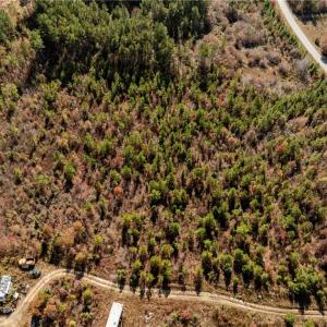 Photo #18 of 24.5ac Little Mill Road, Stony Creek, Virginia 24.5 acres