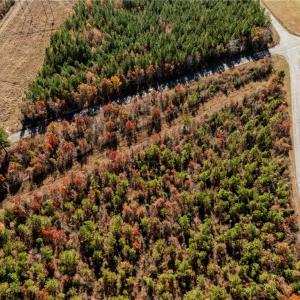 Photo #22 of 24.5ac Little Mill Road, Stony Creek, Virginia 24.5 acres