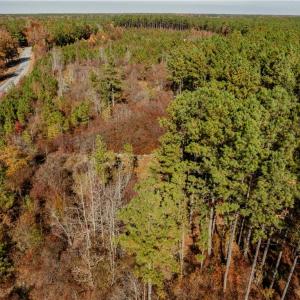 Photo #26 of 24.5ac Little Mill Road, Stony Creek, Virginia 24.5 acres