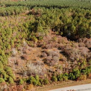 Photo #34 of 24.5ac Little Mill Road, Stony Creek, Virginia 24.5 acres