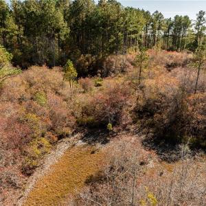Photo #35 of 24.5ac Little Mill Road, Stony Creek, Virginia 24.5 acres