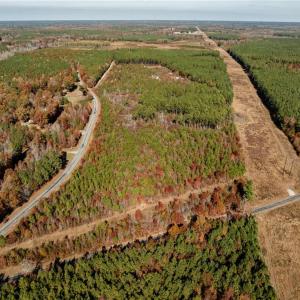 Photo #6 of 24.5ac Little Mill Road, Stony Creek, Virginia 24.5 acres
