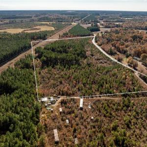 Photo #9 of 24.5ac Little Mill Road, Stony Creek, Virginia 24.5 acres