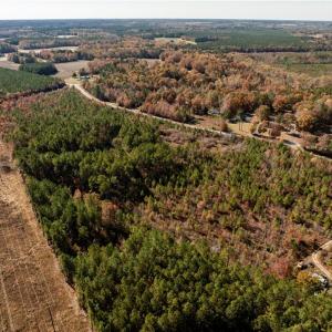 Photo #11 of 24.5ac Little Mill Road, Stony Creek, Virginia 24.5 acres