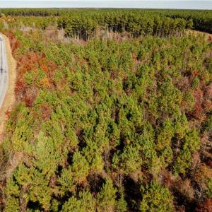 Photo #24 of 24.5ac Little Mill Road, Stony Creek, Virginia 24.5 acres