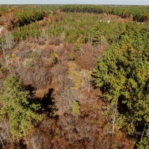 Photo #27 of 24.5ac Little Mill Road, Stony Creek, Virginia 24.5 acres