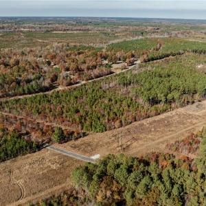 Photo #5 of 24.5ac Little Mill Road, Stony Creek, Virginia 24.5 acres