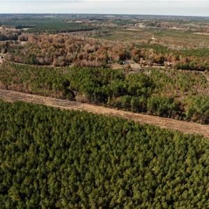 Photo #12 of 24.5ac Little Mill Road, Stony Creek, Virginia 24.5 acres