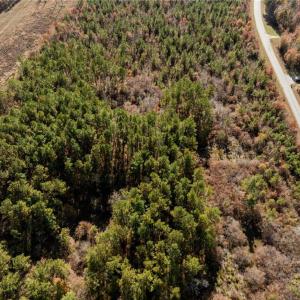 Photo #20 of 24.5ac Little Mill Road, Stony Creek, Virginia 24.5 acres