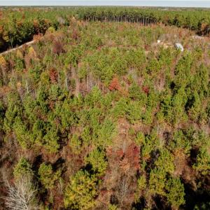 Photo #28 of 24.5ac Little Mill Road, Stony Creek, Virginia 24.5 acres