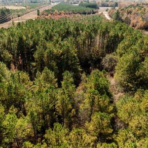 Photo #31 of 24.5ac Little Mill Road, Stony Creek, Virginia 24.5 acres