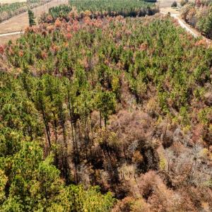 Photo #33 of 24.5ac Little Mill Road, Stony Creek, Virginia 24.5 acres