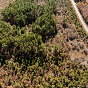 Photo #19 of 24.5ac Little Mill Road, Stony Creek, Virginia 24.5 acres