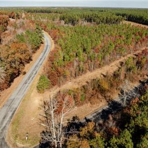 Photo #23 of 24.5ac Little Mill Road, Stony Creek, Virginia 24.5 acres