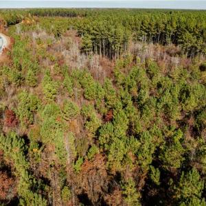 Photo #25 of 24.5ac Little Mill Road, Stony Creek, Virginia 24.5 acres