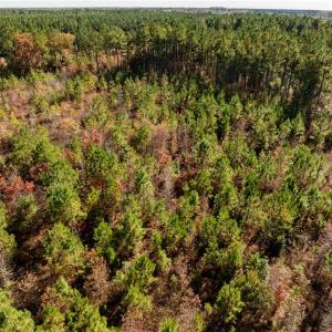 Photo #30 of 24.5ac Little Mill Road, Stony Creek, Virginia 24.5 acres