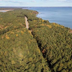 Photo #8 of 1437 Lawnes Neck Drive, Smithfield, Virginia 5.0 acres