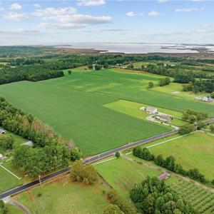 Photo #4 of 10AC Gum Bridge Road, Virginia Beach, Virginia 10.0 acres