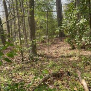 Photo #4 of 5302 High Street, Portsmouth, Virginia 0.4 acres