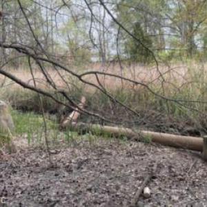 Photo #5 of 5302 High Street, Portsmouth, Virginia 0.4 acres