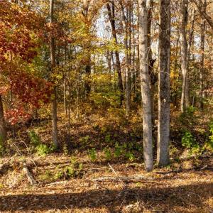 Photo #23 of 2.7ac Twilight Street, Wakefield, Virginia 2.7 acres