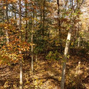 Photo #24 of 2.7ac Twilight Street, Wakefield, Virginia 2.7 acres