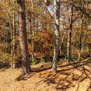 Photo #4 of 2.7ac Twilight Street, Wakefield, Virginia 2.7 acres