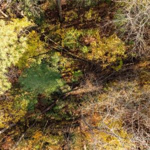 Photo #22 of 2.7ac Twilight Street, Wakefield, Virginia 2.7 acres