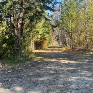 Photo #20 of 955 Manning Drive, Valentines, Virginia 36.4 acres