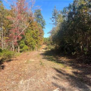 Photo #21 of 955 Manning Drive, Valentines, Virginia 36.4 acres