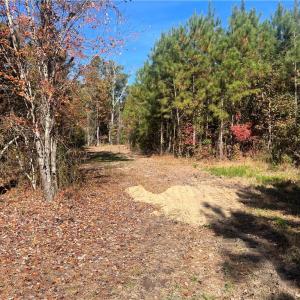 Photo #22 of 955 Manning Drive, Valentines, Virginia 36.4 acres
