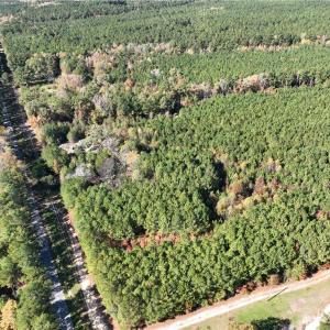 Photo #5 of 955 Manning Drive, Valentines, Virginia 36.4 acres