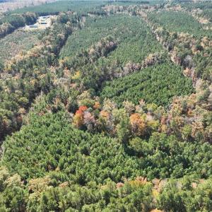 Photo #10 of 955 Manning Drive, Valentines, Virginia 36.4 acres