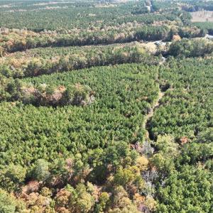 Photo #12 of 955 Manning Drive, Valentines, Virginia 36.4 acres