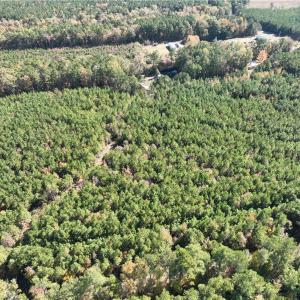 Photo #13 of 955 Manning Drive, Valentines, Virginia 36.4 acres