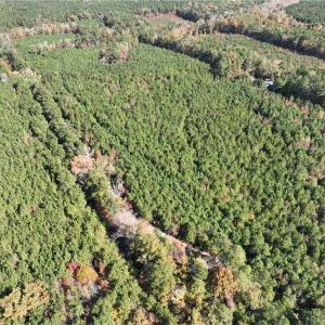 Photo #15 of 955 Manning Drive, Valentines, Virginia 36.4 acres