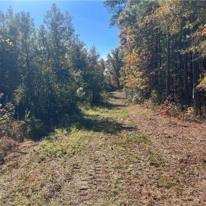 Photo #23 of 955 Manning Drive, Valentines, Virginia 36.4 acres