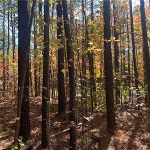 Photo #25 of 955 Manning Drive, Valentines, Virginia 36.4 acres