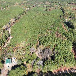 Photo #4 of 955 Manning Drive, Valentines, Virginia 36.4 acres