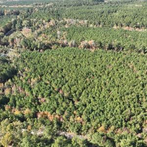 Photo #6 of 955 Manning Drive, Valentines, Virginia 36.4 acres