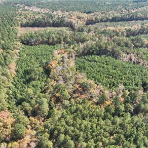 Photo #11 of 955 Manning Drive, Valentines, Virginia 36.4 acres