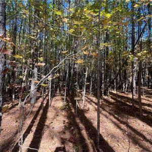 Photo #26 of 955 Manning Drive, Valentines, Virginia 36.4 acres