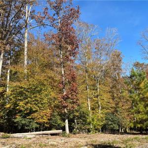 Photo #1 of 2425 Jolly Pond Road, Williamsburg, Virginia 14.5 acres