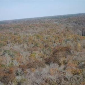 Photo #5 of 2425 Jolly Pond Road, Williamsburg, Virginia 14.5 acres